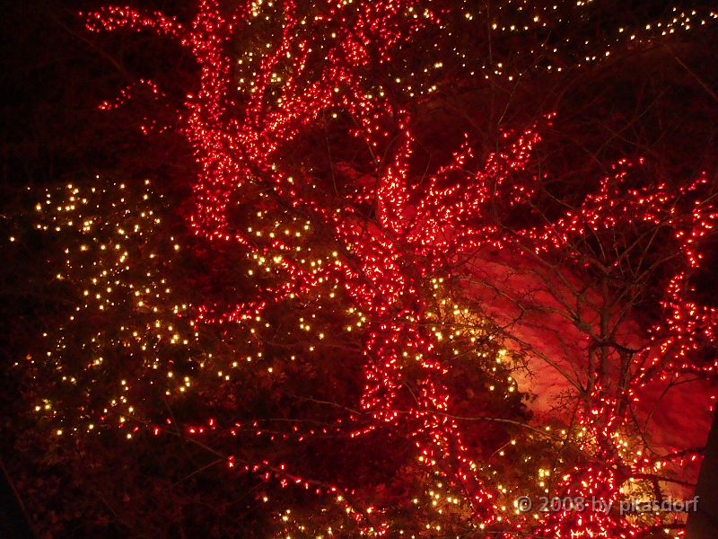 017 Toledo Zoo Light Show [2008 Dec 27].JPG - Scenes from the Toledo Zoo Light Show.